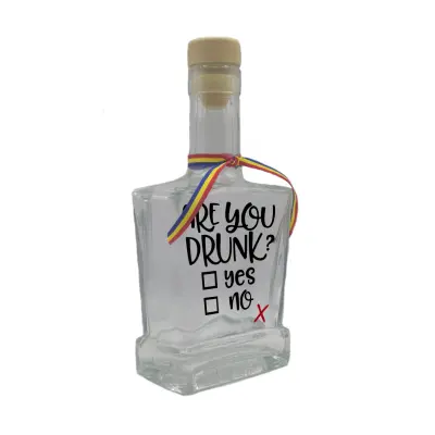 Are you drunk, sticla cu mesaj plata, 500 ml, model divgs179 01